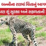 Banni Cheetah Project Gujarat