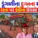Gujarat Onion Farmers Loss
