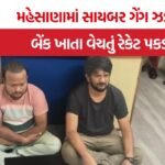 Inter State Cyber Fraud Mehsana