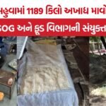 Mahuva Fake Mawa Raid