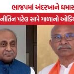 Mehsana Chandrakant Patel Viral Audio
