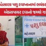 Mehsana expired animal medicines