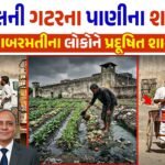Sabarmati Jail Sewage Water Farming