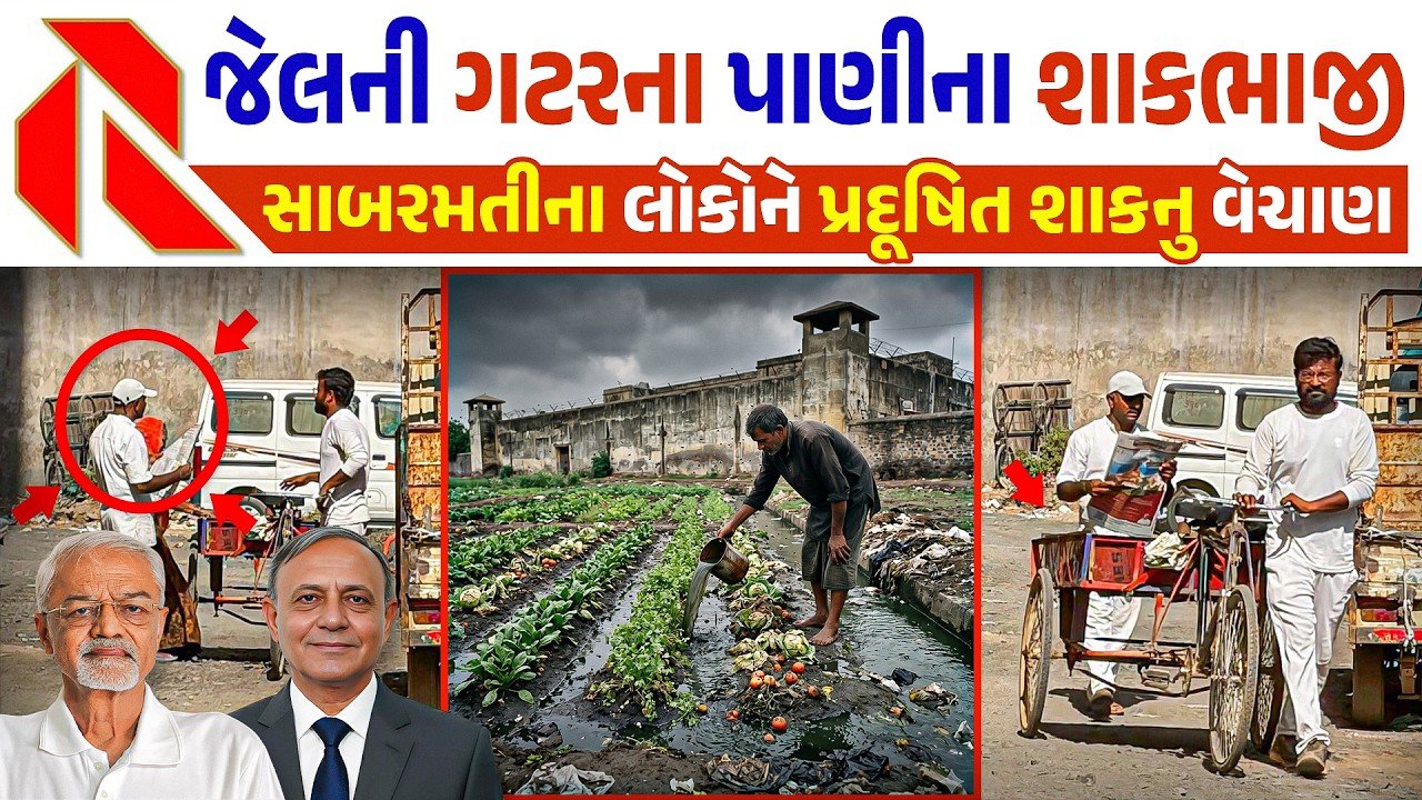 Sabarmati Jail Sewage Water Farming: સાબરમતી જેલના ‘ઝેરી’ શાકભાજી? ગટરના પાણીથી થતી ખેતીનો પર્દાફાશ!