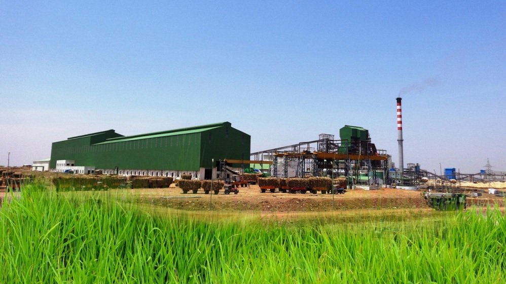 Sugarcane Farming Issues