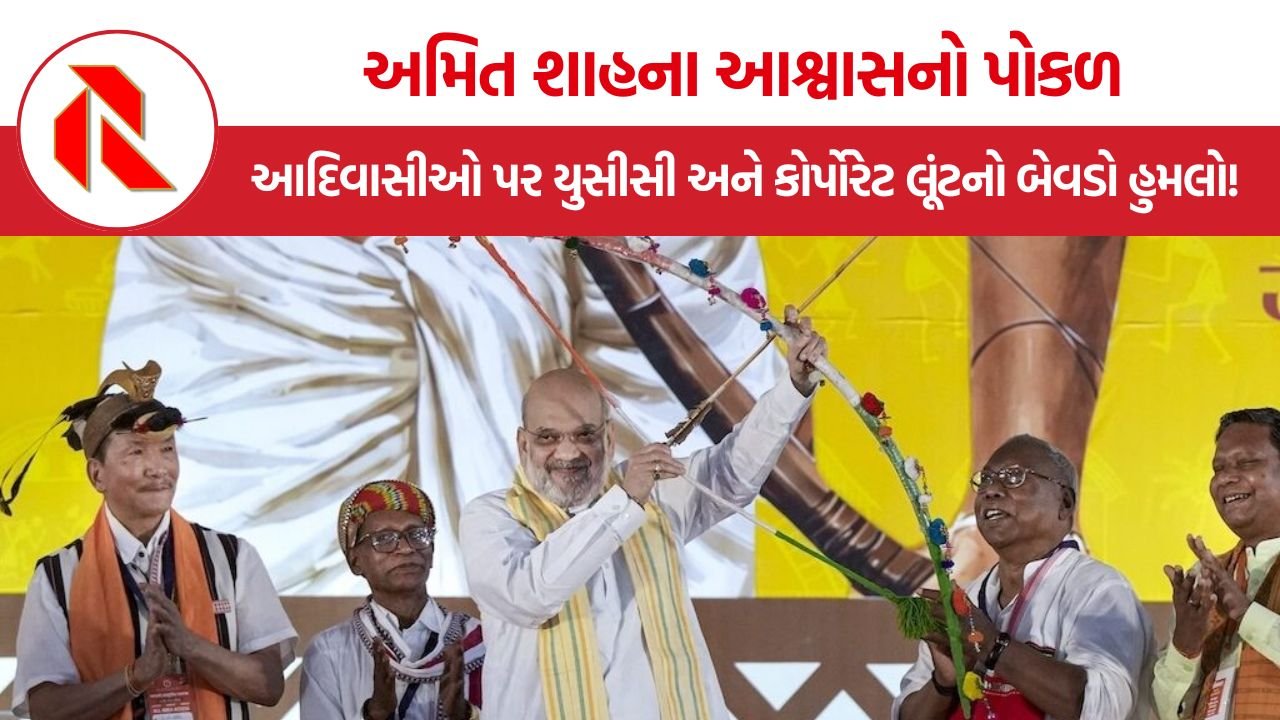 Tribal Rights UCC India: આદિવાસીઓ પર યુસીસી અને કોર્પોરેટ લૂંટનો બેવડો હુમલો! જંગલોની ખુલ્લી હરાજી અને કાગળ પર ‘પેસા કાયદો’