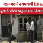 Vadnagar Suicide And Murder Case