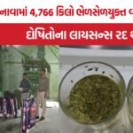 Adulterated Fennel Scam Unjha