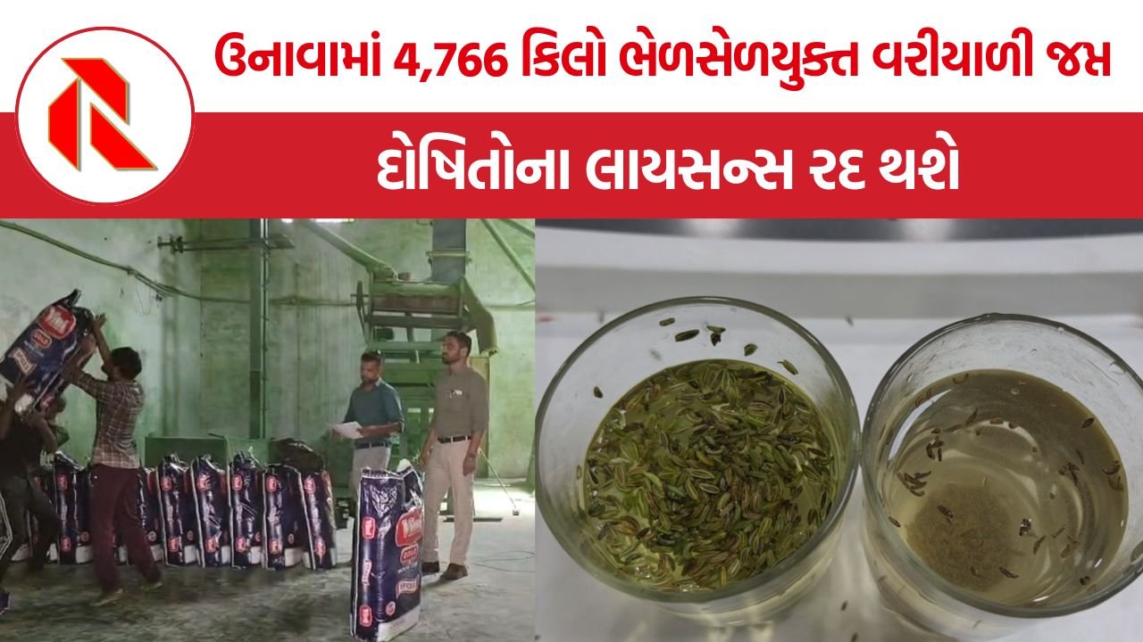 Adulterated Fennel Scam Unjha: મહેસાણામાં નકલી વરીયાળીનું મોટું કૌભાંડ ઝડપાયું, કેમિકલ રંગ ચઢાવી ઊંચા ભાવે વેચવાનો ભંડાફોડ