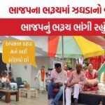 Bharuch BJP Internal Conflict