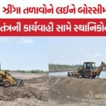Borsi Shrimp Ponds Demolition