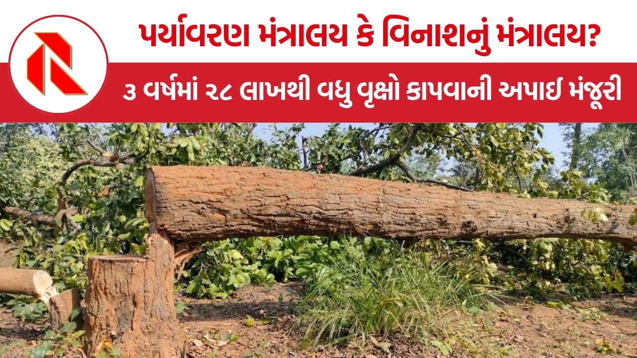 Forest Land Diversion Report: વિકાસના નામે વિનાશ? ૩ વર્ષમાં ૨૮ લાખથી વધુ વૃક્ષો કાપવાની અપાઈ મંજૂરી