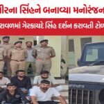 Gir Illegal Lion Show Veraval