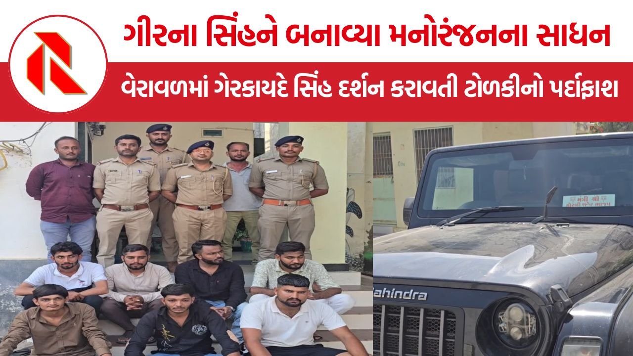 Gir Illegal Lion Show Veraval: જંગલમાં દારૂની મહેફિલ અને સિંહ દર્શનનો ખેલ, મંત્રીના બોર્ડવાળી કારમાં ઝડપાયા 7 શખ્સો!