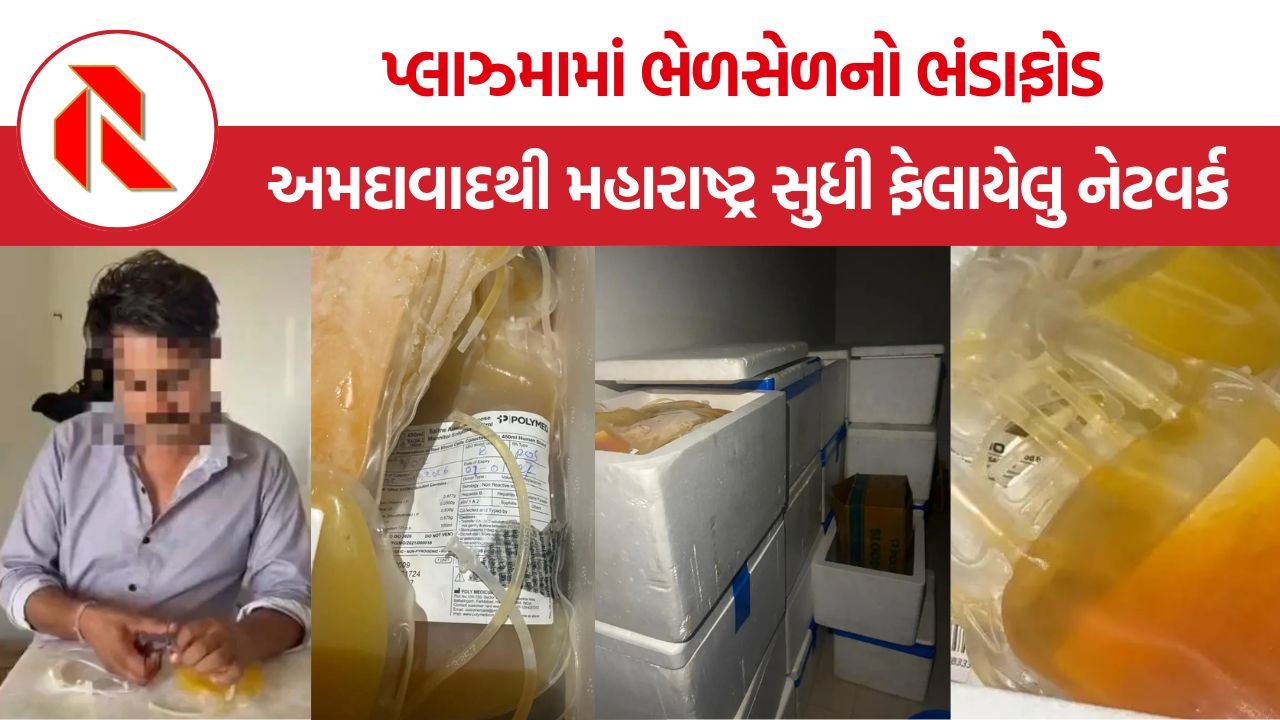 Gujarat Fake Blood Plasma Racket: ગુજરાતમાં નકલી બ્લડ પ્લાઝ્માના કરોડોના કથિત કારોબારનો પર્દાફાશ