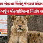 Gujarat Gir Lion Relocation