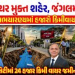 Gujarat Wildlife Cable Network