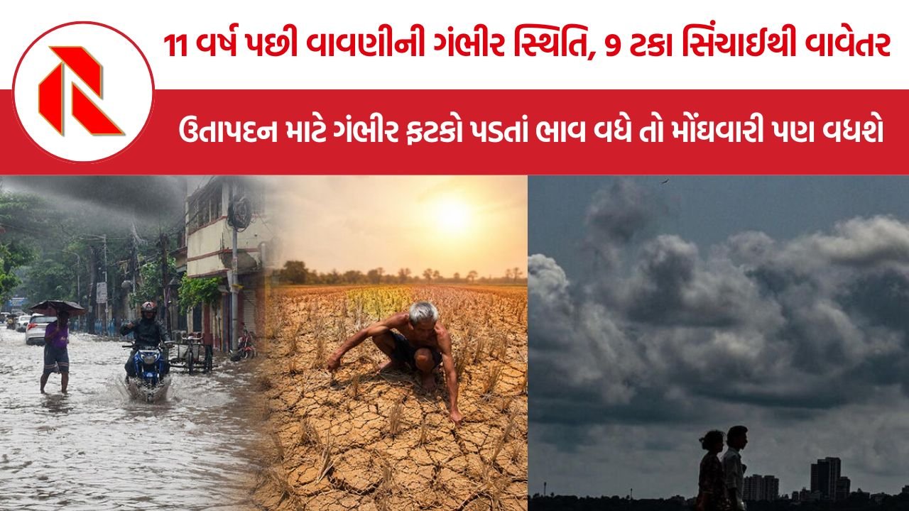 Monsoon Delay Crisis: 11 વર્ષ પછી વાવણીની ગંભીર સ્થિતિ, 9 ટકા સિંચાઈથી વાવેતર, ઉતાપદન માટે ગંભીર ફટકો પડતાં ભાવ વધે તો મોંઘવારી પણ વધશે