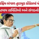 TMC Internal Rebellion