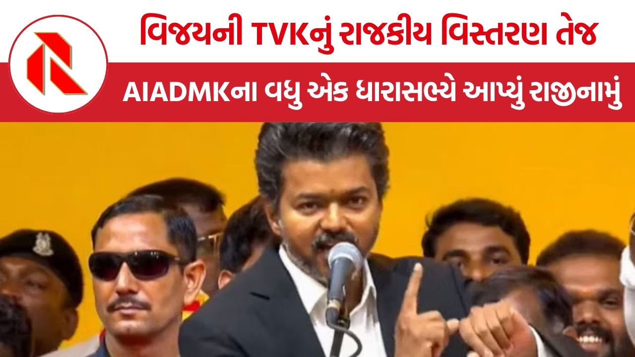 Tamil Nadu Politics: વિધાનસભામાં TVK નો દબદબો વધારવા વિજયની નવી વ્યૂહરચના, ગઠબંધન સહયોગીઓ પર નિર્ભરતા ઘટાડવાની તૈયારી