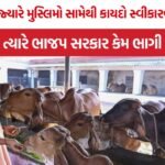 Yogi Adityanath Cow Politics