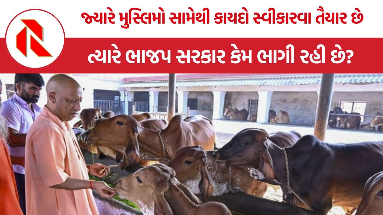 Yogi Adityanath Cow Politics: ગાયને રાષ્ટ્રીય પશુ જાહેર કરવાની માંગ પર યોગી આદિત્યનાથની ટિપ્પણી ‘પાખંડપૂર્ણ’