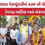 AAP Gujarat local body election