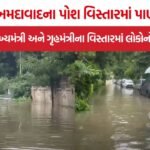 Ahmedabad Waterlogging