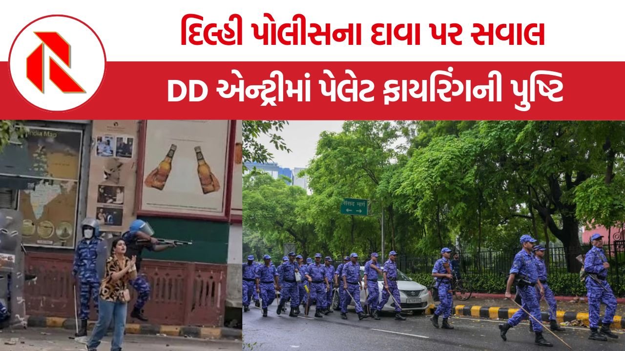 Delhi RAF Pellet Firing: દિલ્હી પેલેટ ફાયરિંગ મામલે મોટો ખુલાસો! RAF એ DCP ના આદેશથી ચલાવ્યા પ્લાસ્ટિક પેલેટ