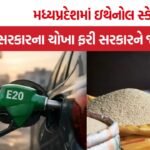 Ethanol Scam MP