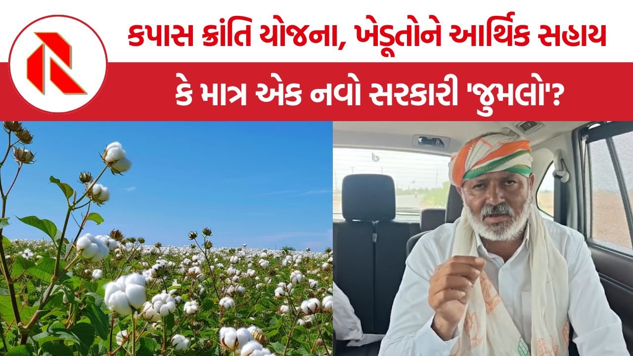 Gujarat Cotton Kranti Yojana: કપાસ ક્રાંતિ યોજના, ખેડૂતોને આર્થિક સહાય કે માત્ર એક નવો સરકારી ‘જુમલો’?