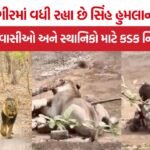 Human-Lion Conflict Gir