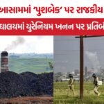 Northeast India News