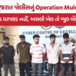 Operation Mule Hunt 2.0