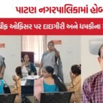 Patan Municipality Controversy