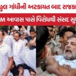 Rahul Gandhi Delhi police detention