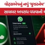 WhatsApp Username Feature