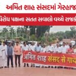 Amit Shah Parliament