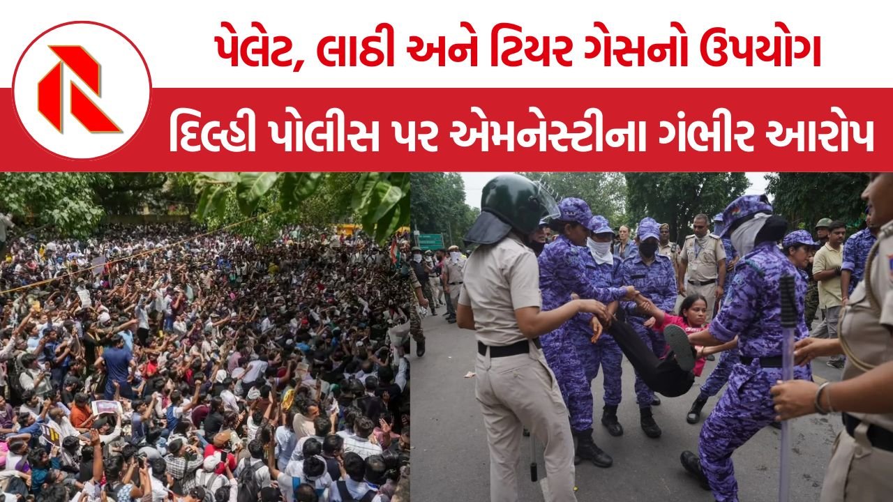 Amnesty International Delhi Protest Report: પેલેટ, લાઠી અને ટિયર ગેસનો ઉપયોગ! દિલ્હી પોલીસ પર એમનેસ્ટીના ગંભીર આરોપ