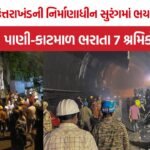 Chamoli Tunnel Accident