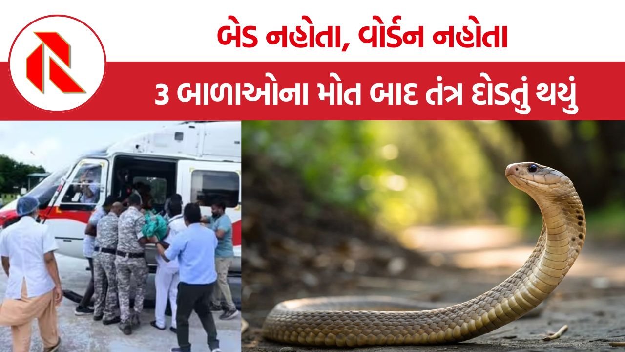 Gadchiroli tribal school snake bite: 3 બાળકીના મોત પછી સરકાર જાગી! ગઢચિરોલીની આશ્રમ શાળાનું લાઇસન્સ આખરે રદ