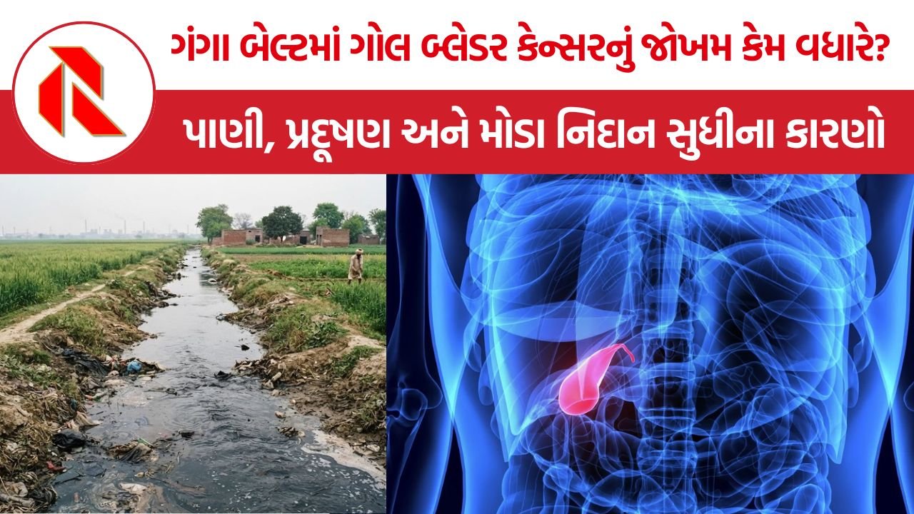 Gallbladder Cancer India: ભારતમાં ગોલ બ્લેડર કેન્સરનું હોટસ્પોટ, બિહારથી આસામ સુધી શું છે આ ચોંકાવનારો પેટર્ન?