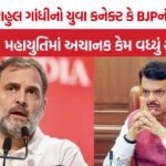 Maharashtra BJP Mahayuti Alliance