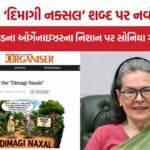 RSS Organizer Sonia Gandhi NAC