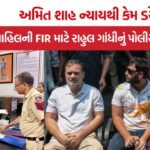Rahul Gandhi-Sahil Protest