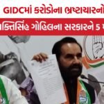 Shaktisinh Gohil Valsad GIDC