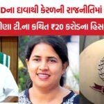 Veena T ED investigation