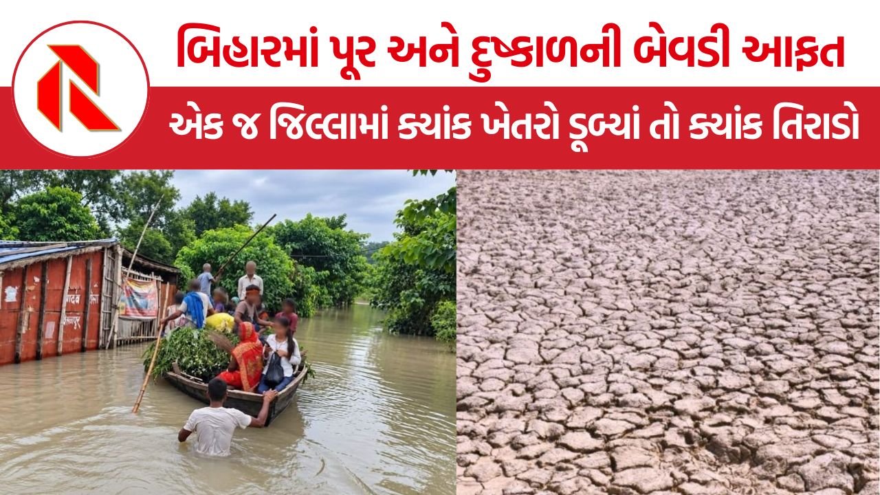 Bihar Flood and Drought: નદીઓમાં પૂરનું પાણી છતાં ખેતરો સૂકાં, બિહારની સિંચાઈ વ્યવસ્થા સામે ગંભીર સવાલ