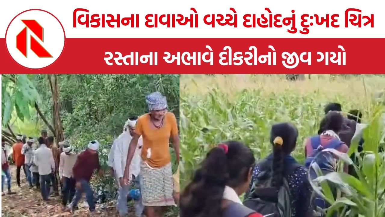 Dahod Sagdapada Road Problem: દાહોદના સાગડાપાડામાં રસ્તાના અભાવે માસૂમ બાળકીનું મોત, મૃતદેહ ખભા પર લઈ જવા મજબૂર થયો પિતા