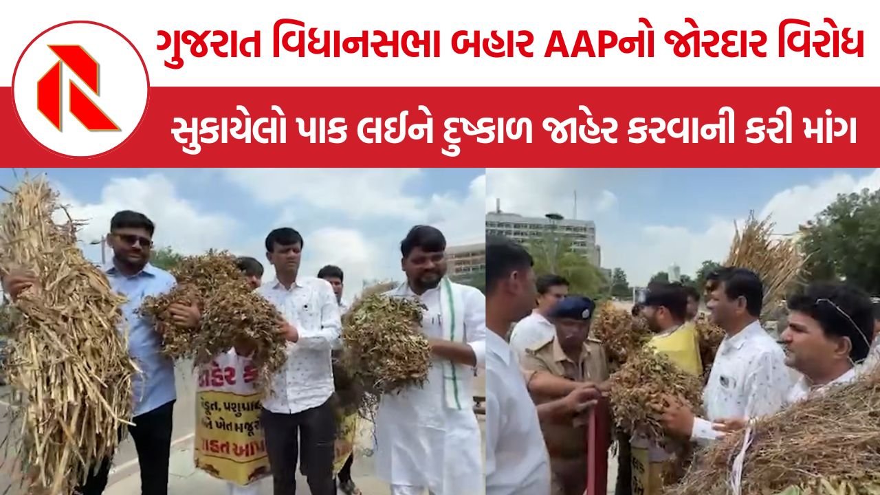 Gujarat AAP Drought Protest: ખેડૂતોના સુકાયેલા પાક સાથે વિધાનસભા પહોંચ્યા AAP નેતા, સરકાર સામે લગાવ્યા ઉગ્ર નારા